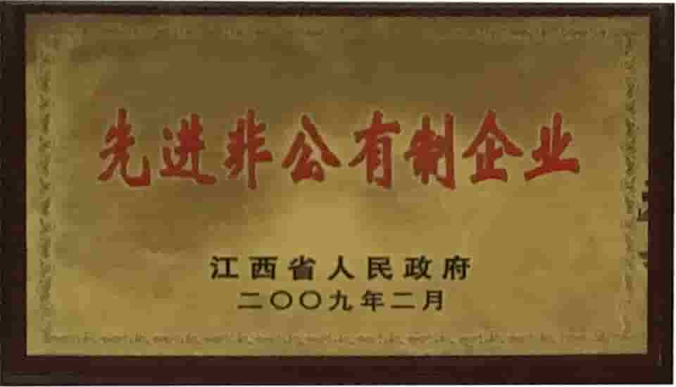 江西亞美達(dá)科技有限公司核心榮譽(yù)